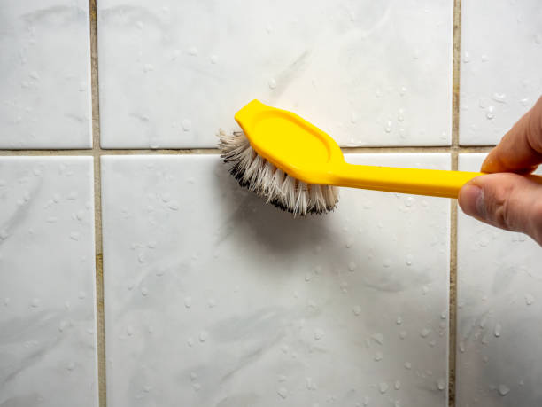 Best Local Mold Removal Service  in New York Mills, NY