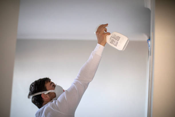 Best Water Damage Restoration  in New York Mills, NY